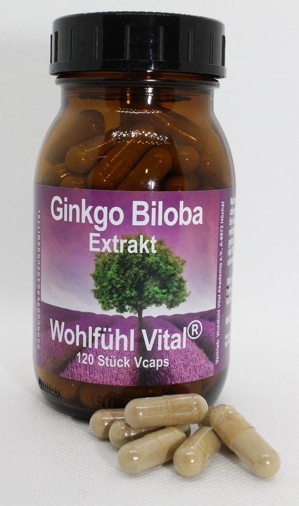 Ginkgo Extrakt, 120 Kapseln, von Wohlfühl Vital