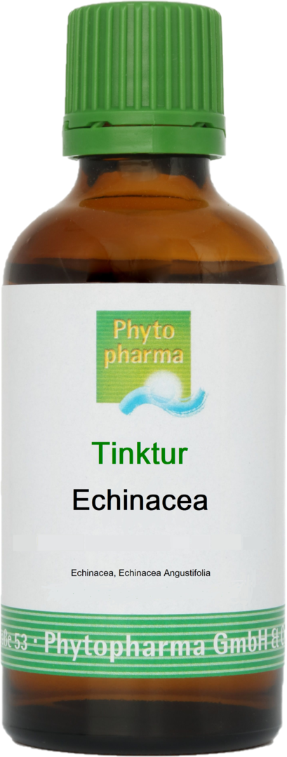 Tinktur Echinacea 100ml von Phytopharma