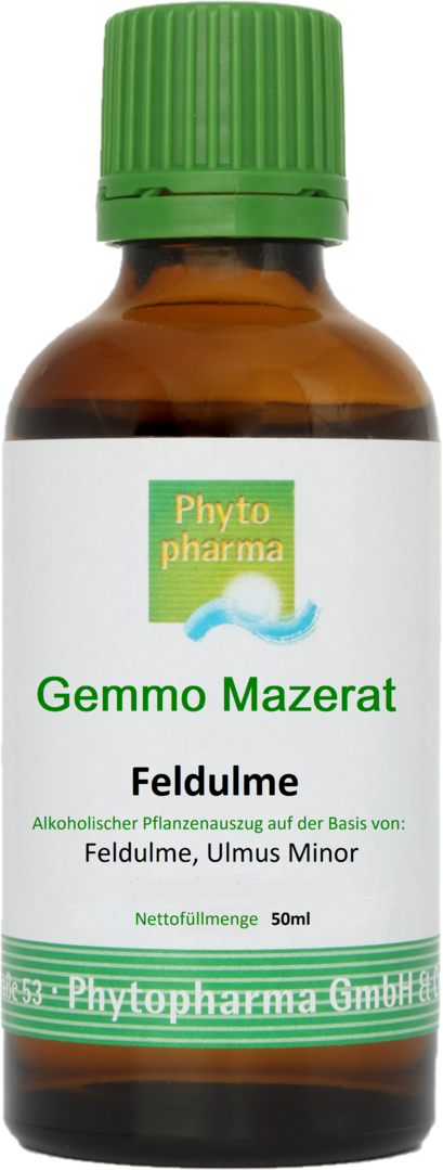 Gemmo Mazerat "Feldulme", 50ml, von Phytopharma