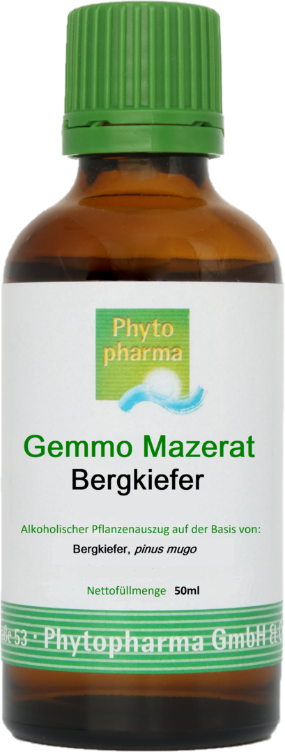 Gemmo Mazerat "Bergkiefer" 50ml von Phytopharma