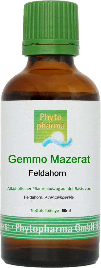 Gemmo Mazerat "Feldahorn", 50ml, von Phytopharma